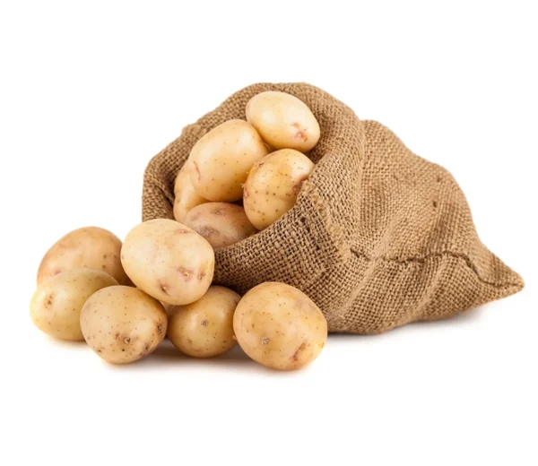 Hollander potato